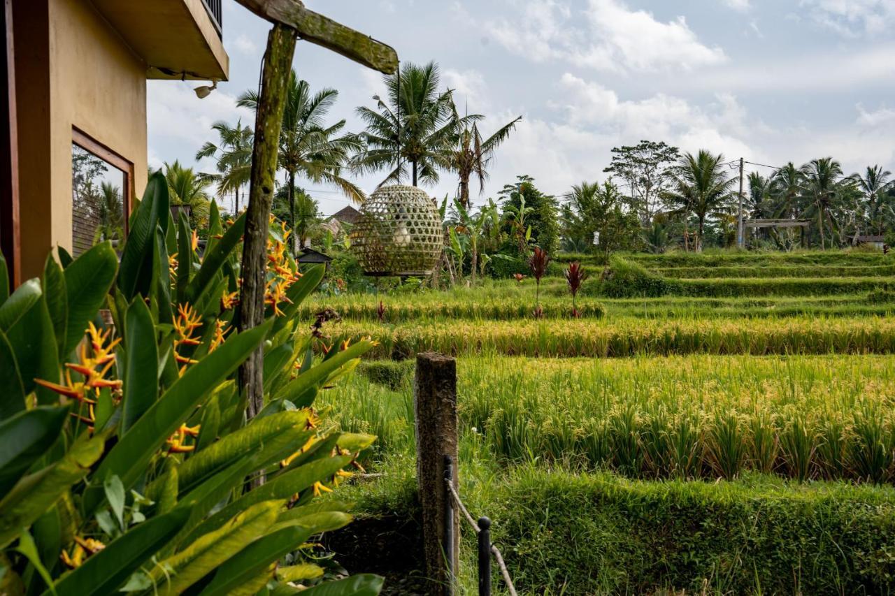 Barong Bali Villas Ubud Esterno foto